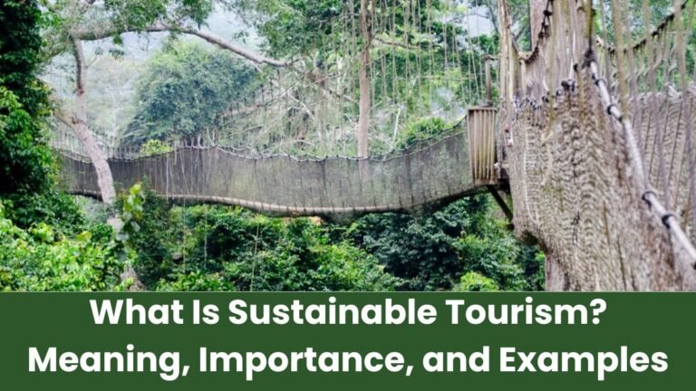 What Is Sustainable Tourism Meaning, Importance, and Examples